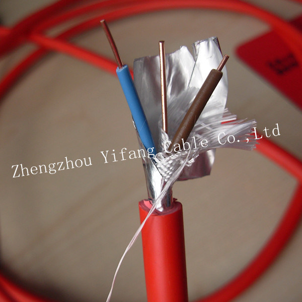 
                Câble de puissance isolés en polyéthylène réticulé Fire-Resistant conducteur de cuivre/Ruban de mica
            