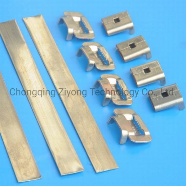 China 
                                 Bandit fivela com cintas de aço Strainess                              fabricação e fornecedor