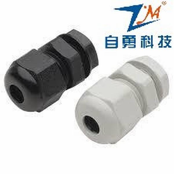 China 
                        China UL Quality Cable Glands with Competitive Price
                      manufacture and supplier