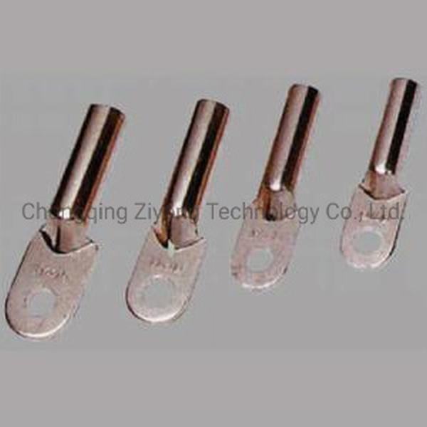 China 
                        Copper Connecting Terminals (oil-plugging)
                      manufacture and supplier