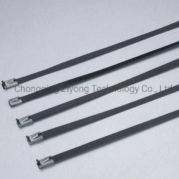 China 
                        Stainless Steel Cable Ties (Ball Lock Type)
                      manufacture and supplier