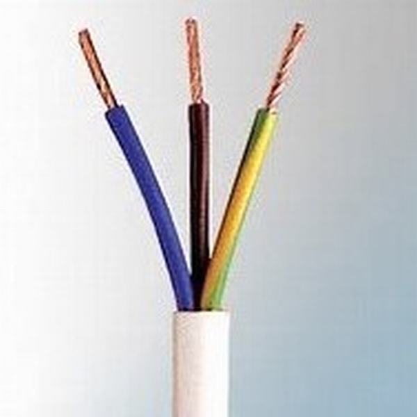 China 
                                 1,5 mm de 3 núcleos sólidos o de PVC trenzado El cable eléctrico                              fabricante y proveedor