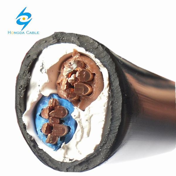 China 
                        2*10 AWG Stranded Copper Electrical Wire
                      manufacture and supplier