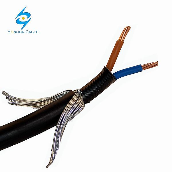 Chine 
                                 2*6 2*10 2*16 fil d'acier câble blindé                              fabrication et fournisseur