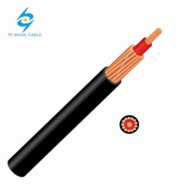 China 
                                 2 Core 1kv XLPE de cobre trenzado concéntrico de aislamiento del cable Servicio de 10mm SQ                              fabricante y proveedor