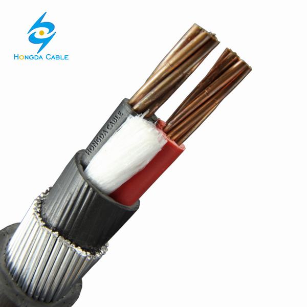 Chine 
                                 2 Core 2.5 Câble mm carrés 25mm Câble de cuivre                              fabrication et fournisseur