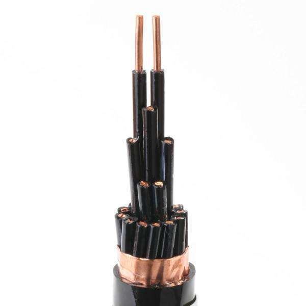 China 
                                 600 V núcleo de cobre aislados en PVC y cable de mando blindado Cvv-S con el Escudo                              fabricante y proveedor