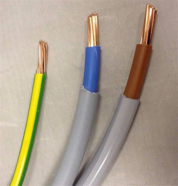 China 
                        BS 6004 6181y 25mm 35mm 50mm PVC Surface Wiring Cable
                      manufacture and supplier