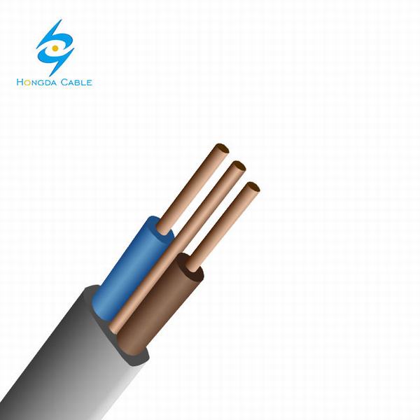 Chine 
                                 Câble électrique plat 2X2.5+1.0mm 3 Core 2+e câble d'alimentation solide fil plat                              fabrication et fournisseur