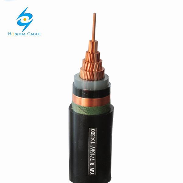 China 
                        Na2xs (FL) 2y 12/20 (24) Kv Cable
                      manufacture and supplier