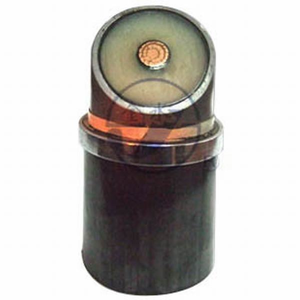 China 
                        Electric Cable H05V2-K (300/500V) Internal Wiring/Power Cable
                      manufacture and supplier