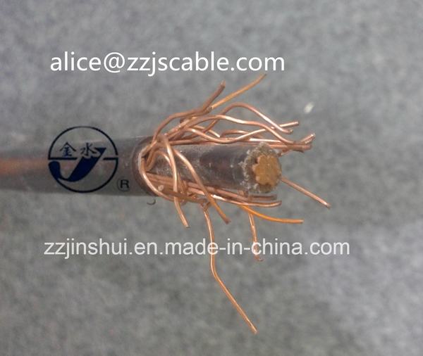China 
                        Low Voltage Concentric Cable 2*8AWG Copper XLPE PVC Round Cable
                      manufacture and supplier