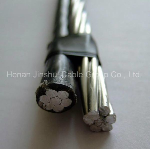 China 
                        Low Voltage XLPE Insulated Aluminum Duplex Aerial Cables
                      manufacture and supplier