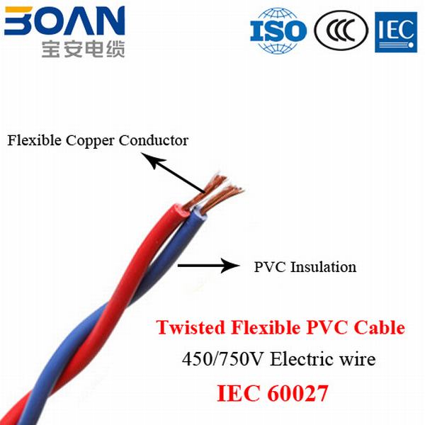 China 
                                 Verdrehtes flexibles Kabel, elektrischer Draht, 450/750V, Iec 60227                              Herstellung und Lieferant