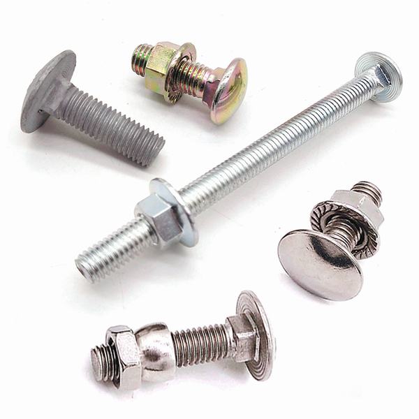 Hardware Tool Fasteners M3X10 Plain Surface Treatment Stainless Steel Carriage Bolts