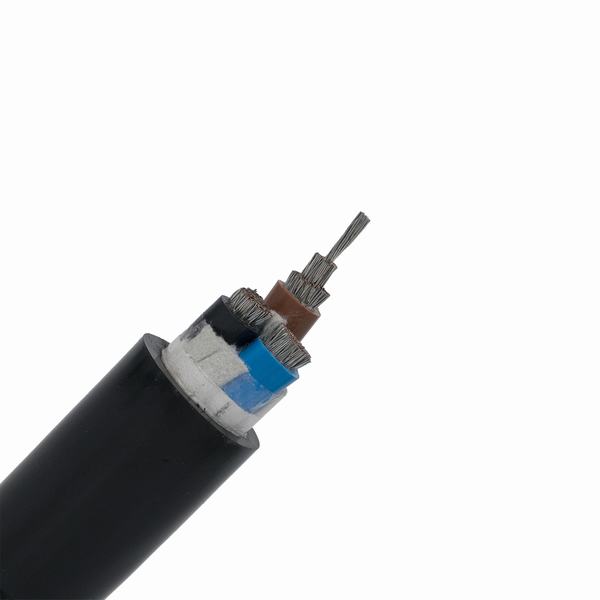 0.6/1kv 2X50mm2 XLPE Insulation PVC Sheath Yjv/Yjlv Electric Power Cable