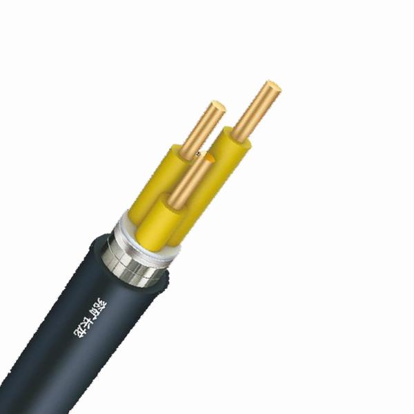 China 
                        0.6/1kv XLPE Insulation PVC Sheath Copper Core Power Cable
                      manufacture and supplier