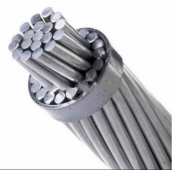 China 
                                 Narciso AAC AAC conductores Cable de aluminio BS ASTM IEC desnudos de aluminio conductor de la transmisión                              fabricante y proveedor