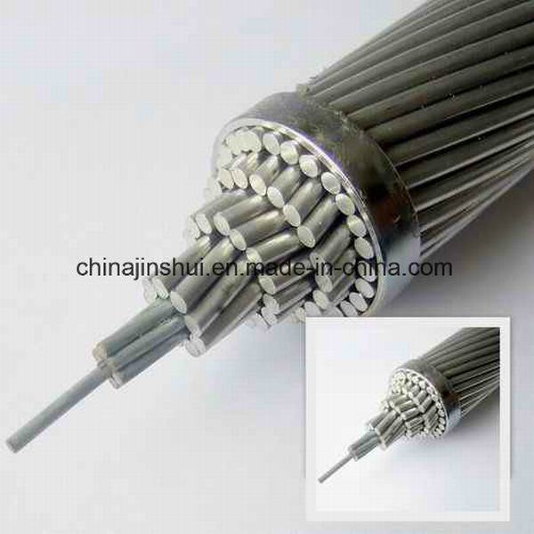 China 
                                 Sobrecarga de AAC Aluminio Cable conductor desnudo                              fabricante y proveedor