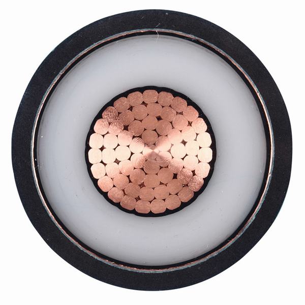 China 
                        China Special Design Copper Conductor 2 XLPE Insulated Power Cable
                      manufacture and supplier
