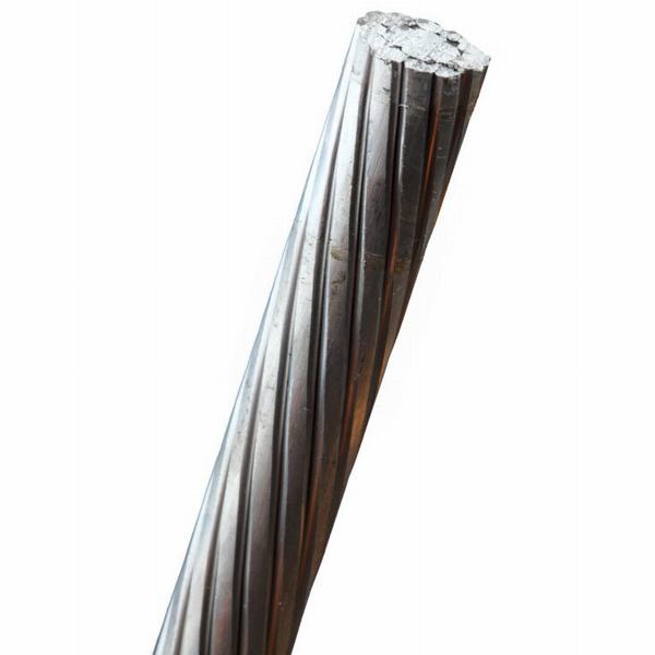 Hot Sale Aluminum Alloy AAAC Conductor for Overhead Transmission Line