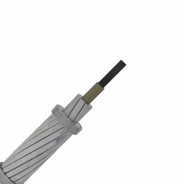 China 
                        Hot Selling Bare Aluminum ACSR Conductor
                      manufacture and supplier