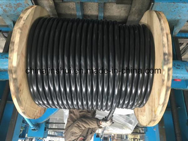 China 
                        Jinshui Seu Cable Fastest Delivery 2*8AWG 3*6AWG Concentric Cable
                      manufacture and supplier