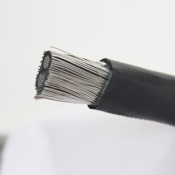
                                 Низкое напряжение ПВХ изоляцией ПВХ Оболочки концентрической алюминиевого кабеля                            