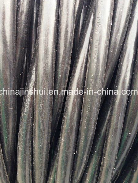 China 
                                 Relaible Hersteller schnellste Lieferung von Luftgebündeltem Kabel 2*6AWG+1*6AWG                              Herstellung und Lieferant