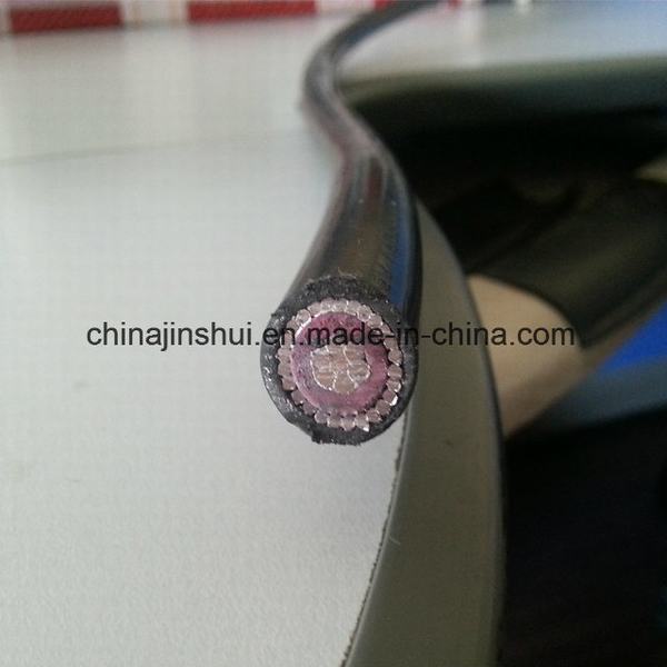 XLPE/PVC Insulated Copper /Aluminum Single Concentric Cables