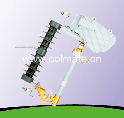 China 
                                 11kV Aussparung mit Porzellangehäuse Cfg10kv-15kV B                              Herstellung und Lieferant