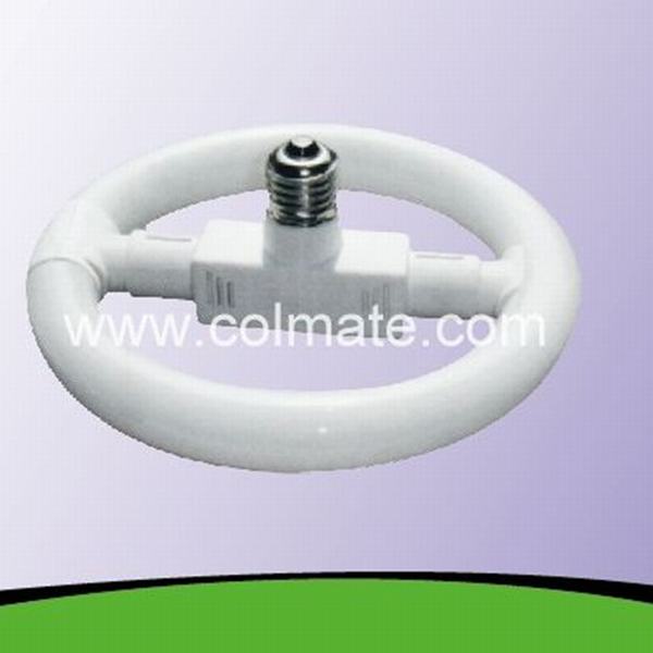 China 
                        22W/32W T5/T9 Circular Fluorescent Tube with Ballast
                      manufacture and supplier