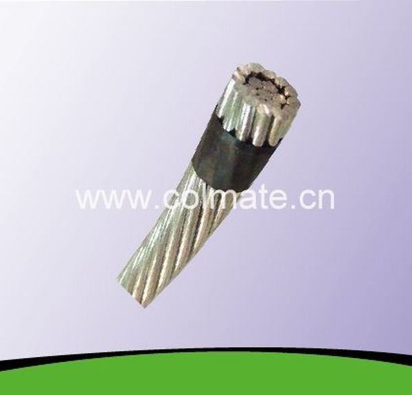 China 
                        ACSR Conductor (Aluminium Conductors Steel Reinforced)
                      manufacture and supplier