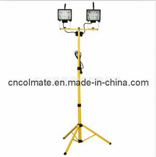 China 
                        Fluorescent Work Light (LAF-1010-2S)
                      manufacture and supplier