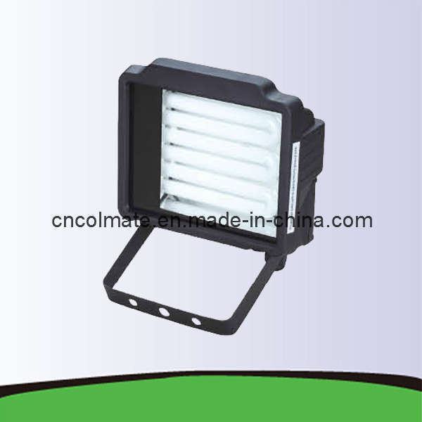 China 
                        Fluorescent Work Light (LPF-1030)
                      manufacture and supplier