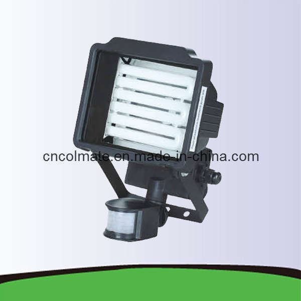 China 
                        Fluorescent Work Light (LPF-1030-D)
                      manufacture and supplier