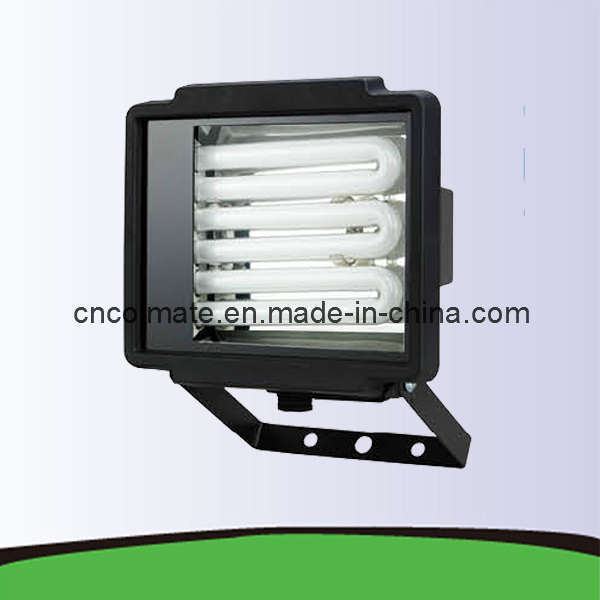 China 
                        Fluorescent Work Light (LPF-1031)
                      manufacture and supplier