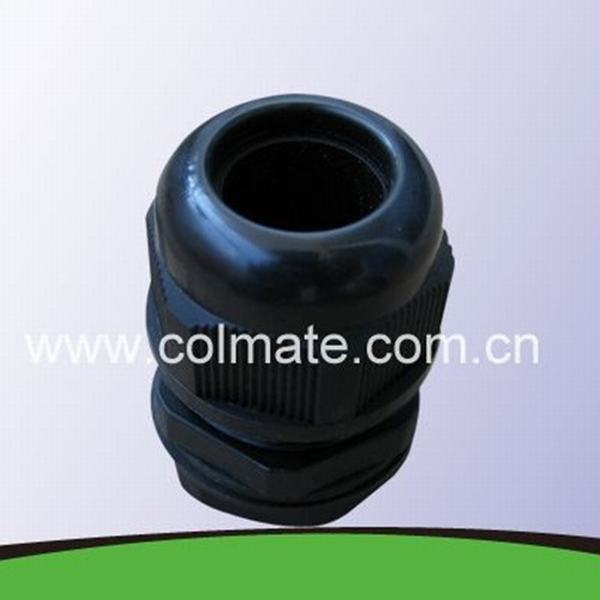 China 
                        IP68 Nylon Waterproof Cable Gland for Armoured Cable
                      manufacture and supplier