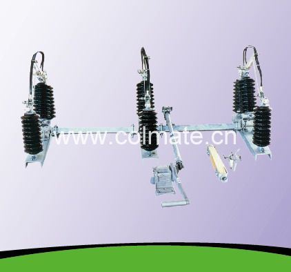 China 
                                 Interruptor de aislamiento Inuslator Rh-11p                              fabricante y proveedor