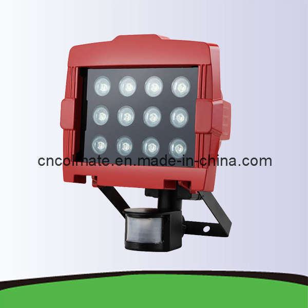 China 
                        LED Work Light (LAE-1020-D)
                      manufacture and supplier
