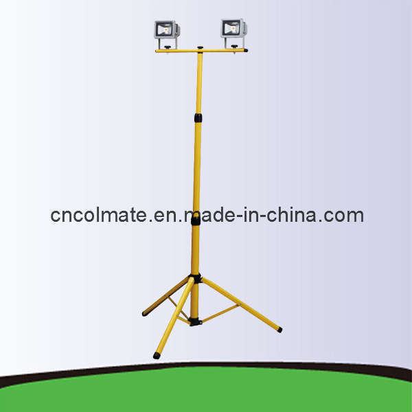 China 
                        LED Work Light (LAE-2010-2S)
                      manufacture and supplier