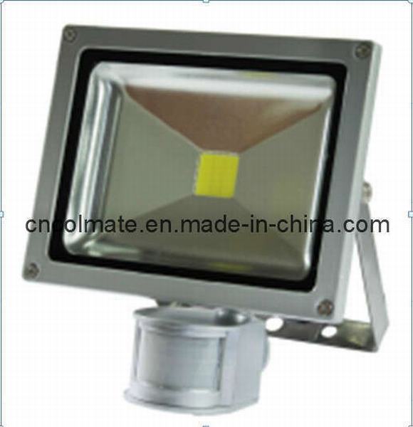 China 
                        LED Work Light (LAE-2011-D2)
                      manufacture and supplier