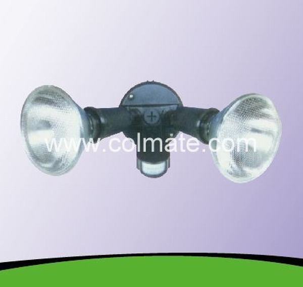 China 
                        Spot Light With PIR Detector(Photocell)
                      manufacture and supplier