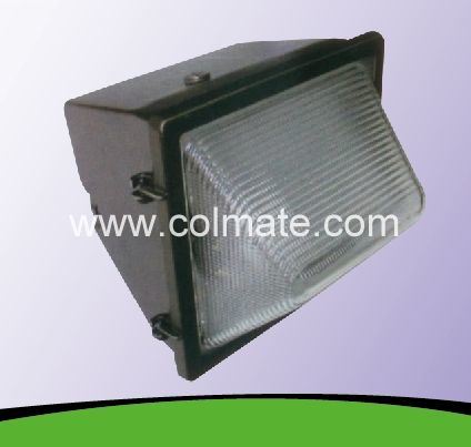 China 
                Wallpack & Canopy; Wallpack Light Wallpack Lighting
              manufacture and supplier