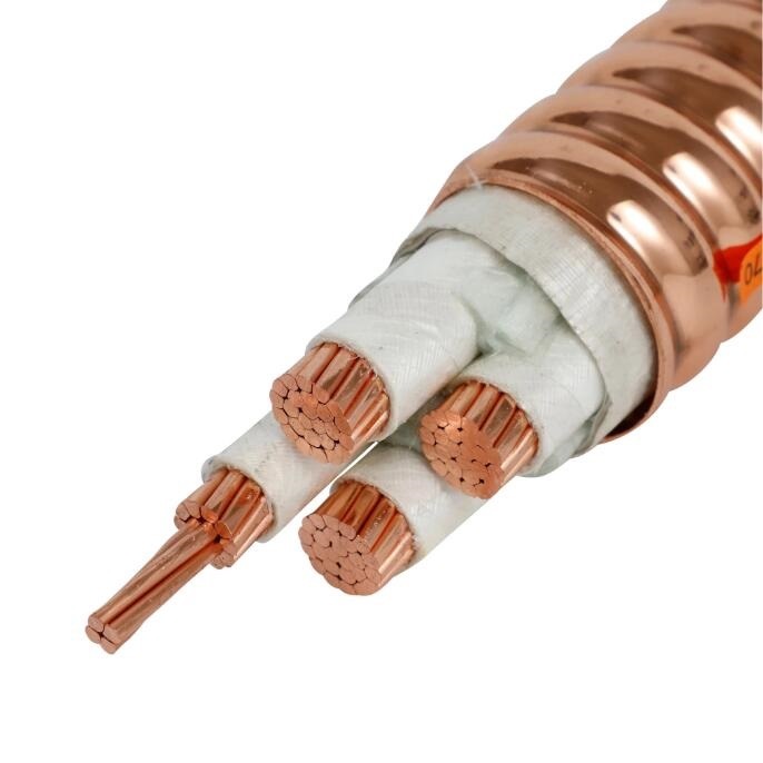 Bttz/Ng-a (BTLY) 0.6/1kv 2.5-400mm² 2-5 Cores Flame Retardant Mineral Insulated Copper Core Power Cable Power Fittings