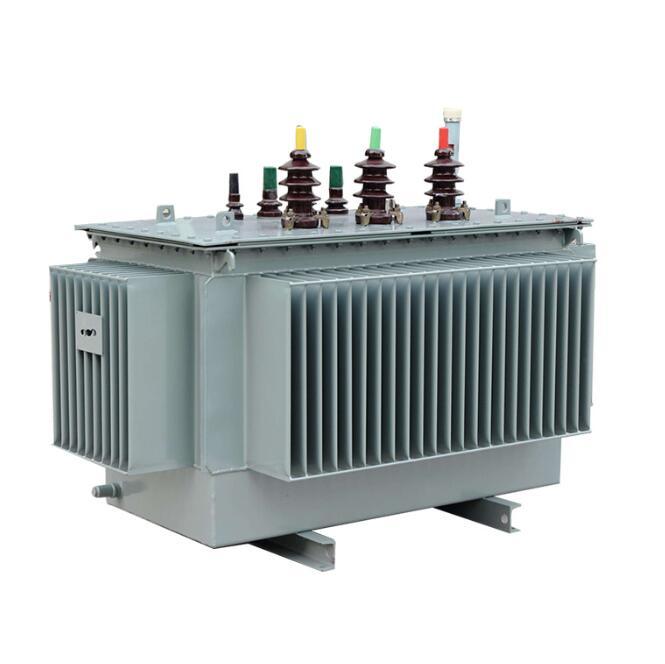 China 
                Sh15 50-2500kVA 6-11kv New Three Phase Fully Sealed Oil Immersed Power Transformer
              manufacture and supplier
