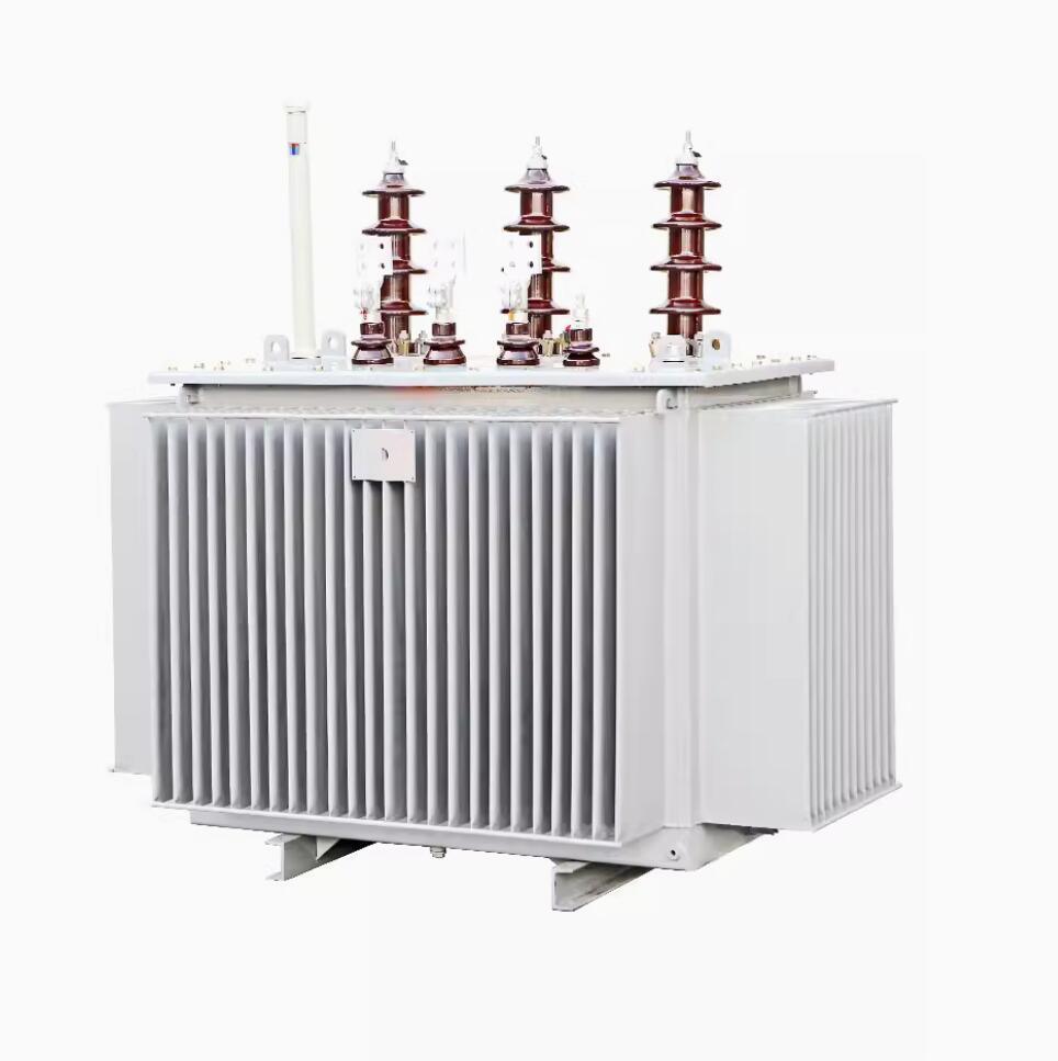 10kv Wound Core Copper Winding Hermetically Sealed Oil Immersed Transformer OEM Distribution Transformer Factory