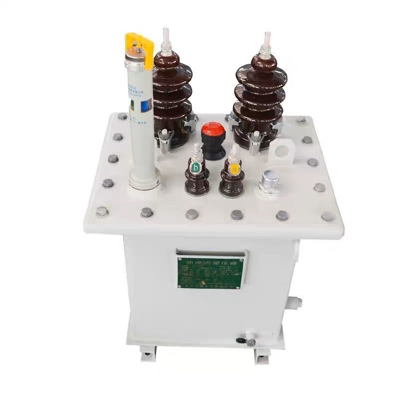 
                Transformateur d′huile électrique monophasé série D11 15/25/80/100/125/160/200 kVA 10 kVA 10 kv/0,231 kv
            