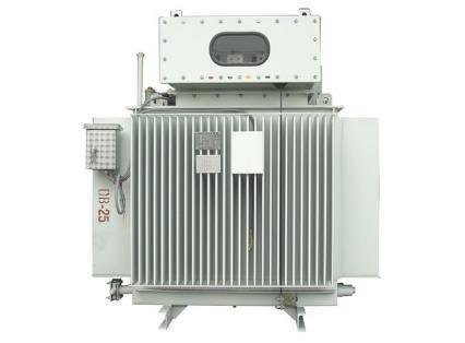 S10-Ms-2000/10 2mva S10-Ms Series 6kv/10kv Petrochemical Power Transformer