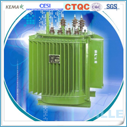 Chine 
                S11-M-100/20 0.1Mva 20kv multifonction transformateur de distribution de haute qualité
              fabrication et fournisseur